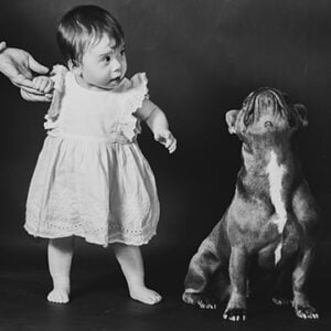 pet photography in Sydney studio with toddler and